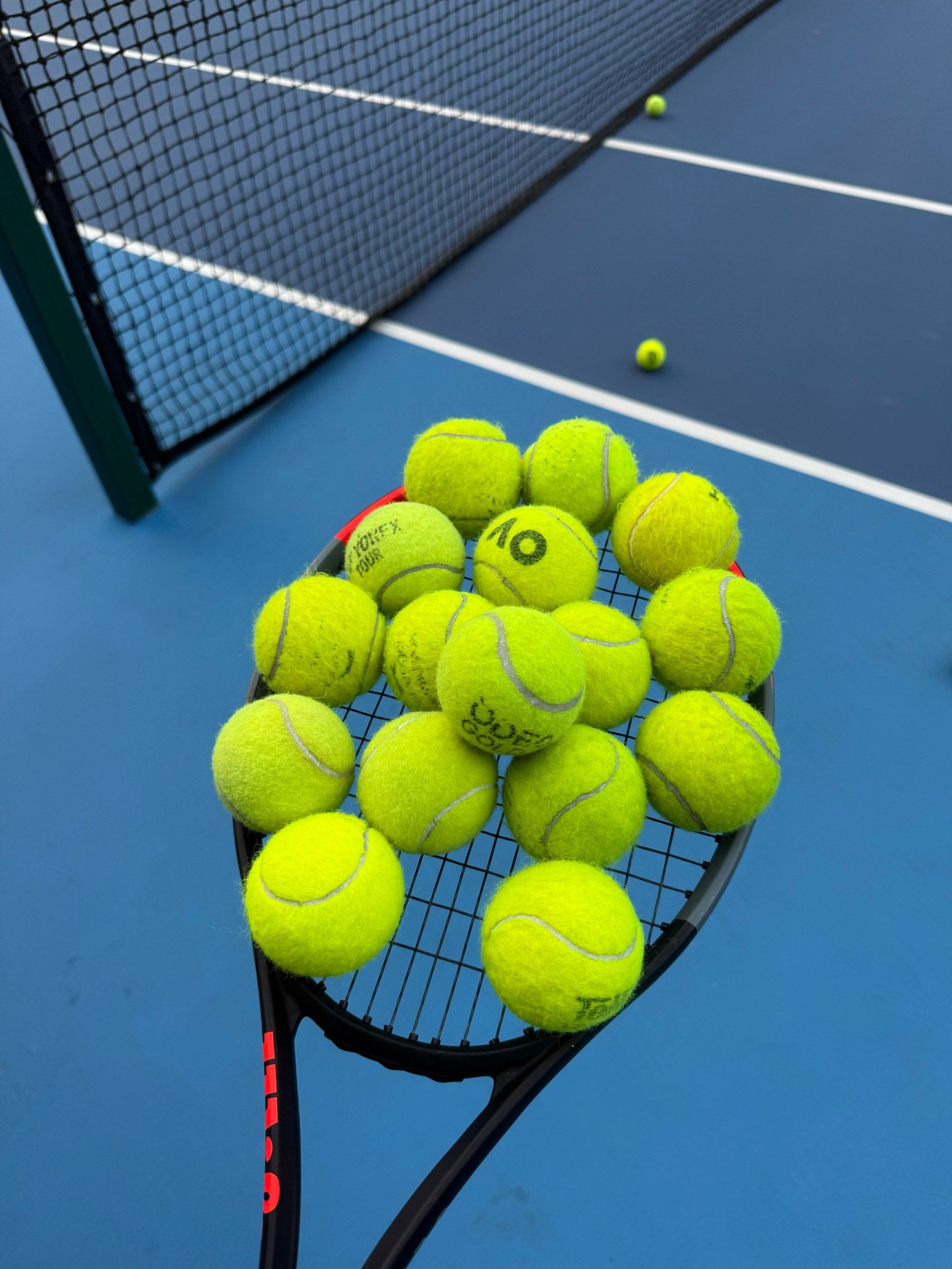 达蒙与贝茨 达蒙与贝茨